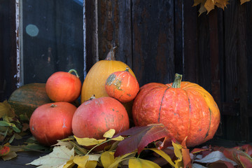 Big bright orange pumpkins on old dark wooden background. Autumn halloween background.