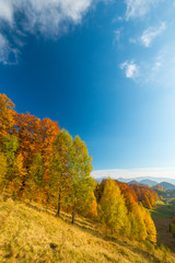 Fototapeta premium October autumn scenery in remote mountain area in Transylvania