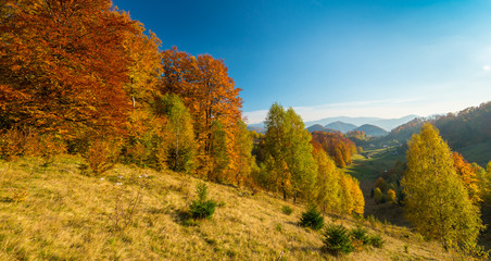 October autumn scenery in remote mountain area in Transylvania