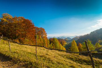 Naklejka premium October autumn scenery in remote mountain area in Transylvania