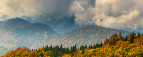 Obraz premium Pretty autumn scenery and autumn foliage in remote rural area in the mountains of Transylvania, Romania