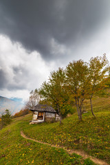 Obraz premium Pretty autumn scenery and autumn foliage in remote rural area in the mountains of Transylvania, Romania