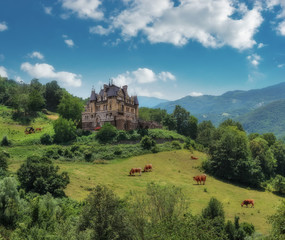 Fototapeta na wymiar Rural landscape with a castle