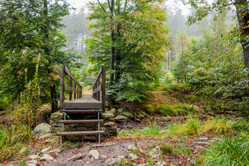 Fototapeta na wymiar wooden bridge in nature