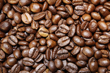 Roasted coffee beans