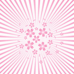 Background with pink rays and Japanese Sakura