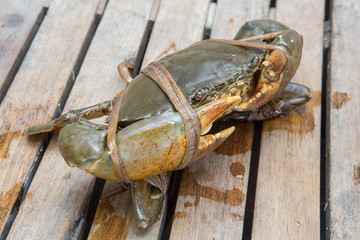 raw crabs on wood