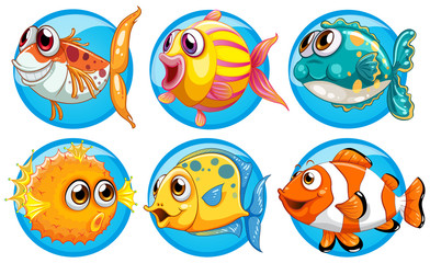 Different kinds of fish on round badge