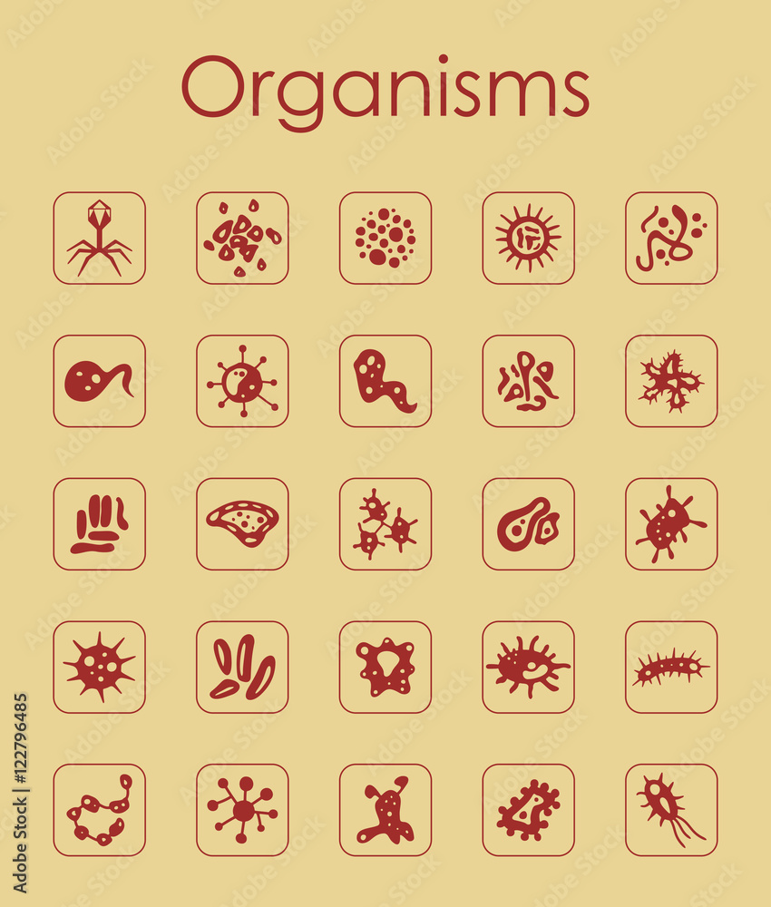 Canvas Prints set of organisms simple icons