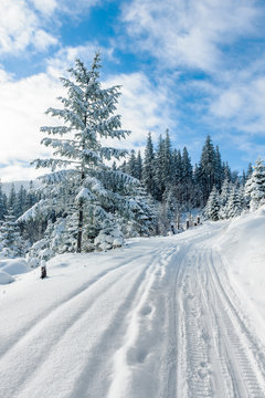 Obraz Góry Beskid Żywiecki- Zwardoń