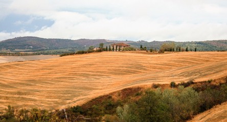 Fototapeta na wymiar Landscape of crete senesi, tuscan countryside