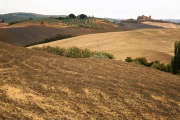 Fototapeta premium Landscape of crete senesi, tuscan countryside