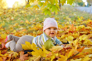 Autumn newborn baby girl lying in maple leaves and looks at camera. Close up portrait.