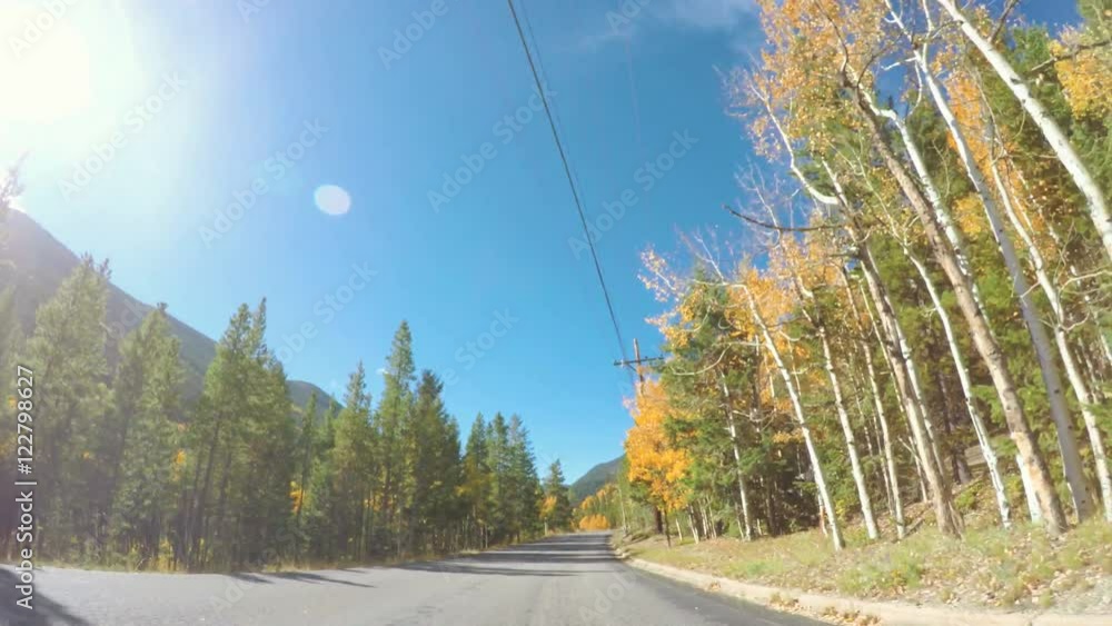 Aufkleber pov point of view - driving through alpine forest in the autumn