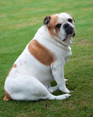 Picture perfect pose