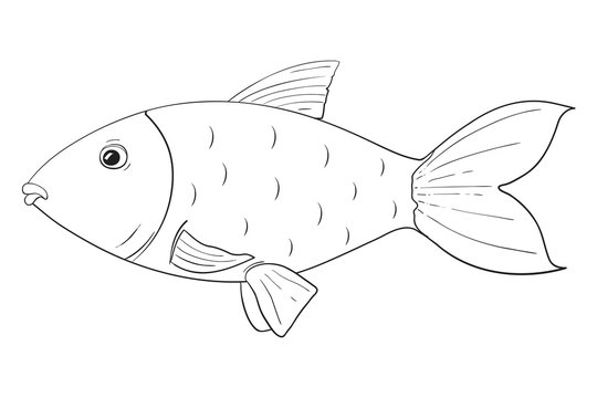 Fish. Hand drawn outline sketch