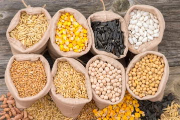 Schilderijen op glas bags with cereal grains (oat, barley, wheat, corn, beans, peas, soy, sunflower) © tutye