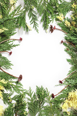 Christmas background border with evergreen fir tree 