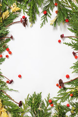 Naklejka na ściany i meble Evergreen fir tree decoration for christmas card isolated