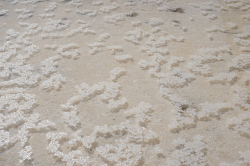 Flores de sal en el valle salado de Añana