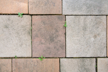 Fototapeta premium stone floor tile seamless background and texture