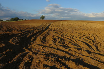 campagna