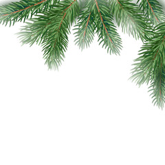 Obraz premium Fir Tree Branches Border.