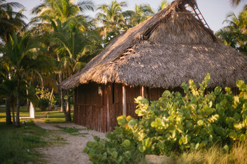 Plakat Wooden bungalow on a roof with palm branches on the beach in Varadero Cuba
