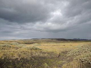 Islande en jaune et gris