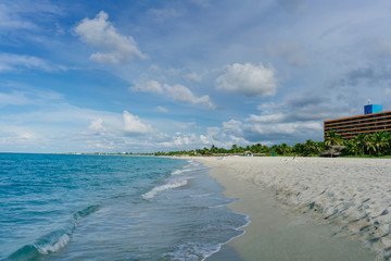 The most beautiful species in the Atlantic Ocean and beach in the resort of Varadero, Cuba