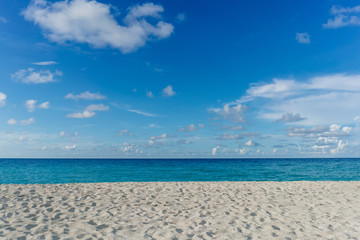 The most beautiful species in the Atlantic Ocean and beach in the resort of Varadero, Cuba