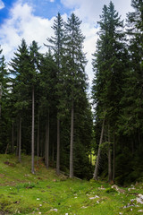 Panorama of Romanian Carpathians