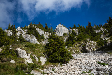 Panorama of Romanian Carpathians