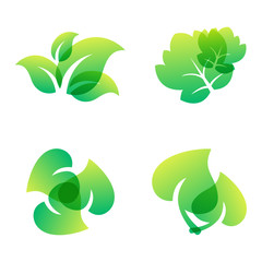 Leaf icon vector illustration.