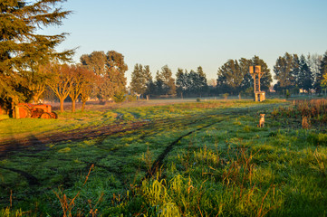 Amanhecer na fazenda