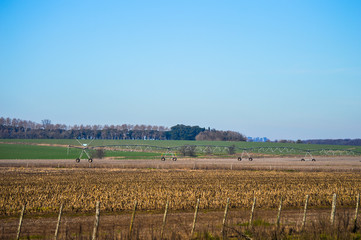 Regadores