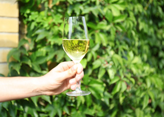 Male hand holding glass of white wine, outdoor