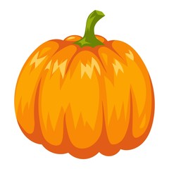 Pumpkin vector illustration isolated