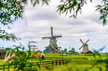 Leaves surrounding view of windmills