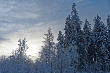 Winter in Sk&ouml;vde, Sweden