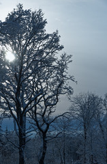 Fototapeta na wymiar Winter in Skövde, Sweden