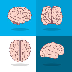 human brain and angles  icon image vector illustration design 