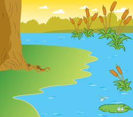 Fototapeta na wymiar The illustration shows the part of the shore of a pond with reeds and water lilies