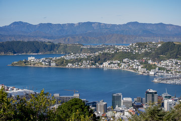 Fototapeta na wymiar Wellington City Panorama from Tinakori Hills