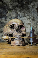 Still life with skull, syringe and withered opium head
