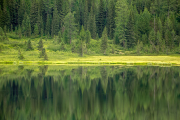 Reflection of forest in mountain lake