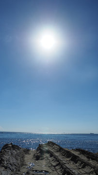 夏の太陽