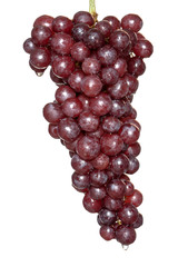 red grape with drop of water isolated on white background