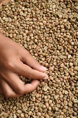 Close up of coffee beans for background