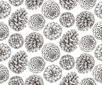 Seamless pattern with hand drawn pine cones.
